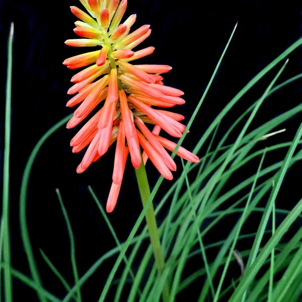 博彩网站棋牌游戏